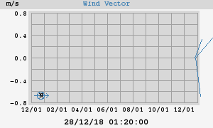 Wind Vector